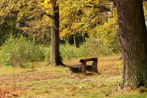 Self hypnosis, visualization with creating a bench - Inner child work